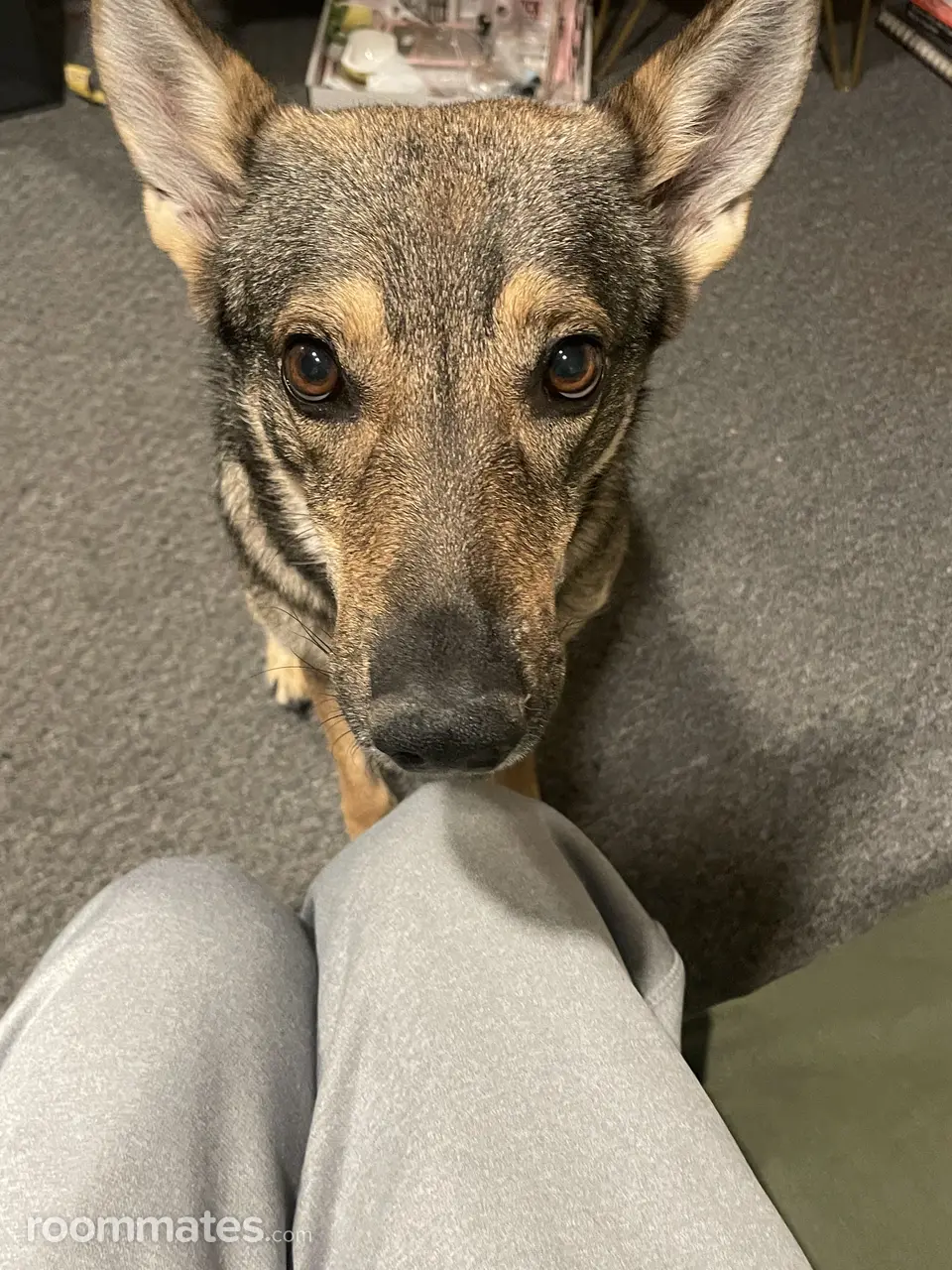 Profile photo 2 of 3