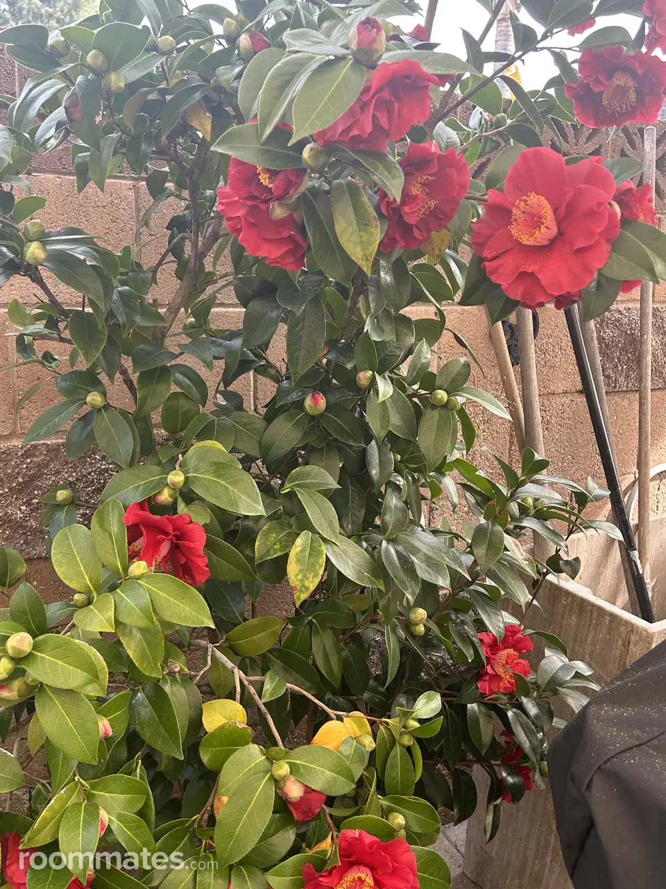 Profile photo 17 of 18