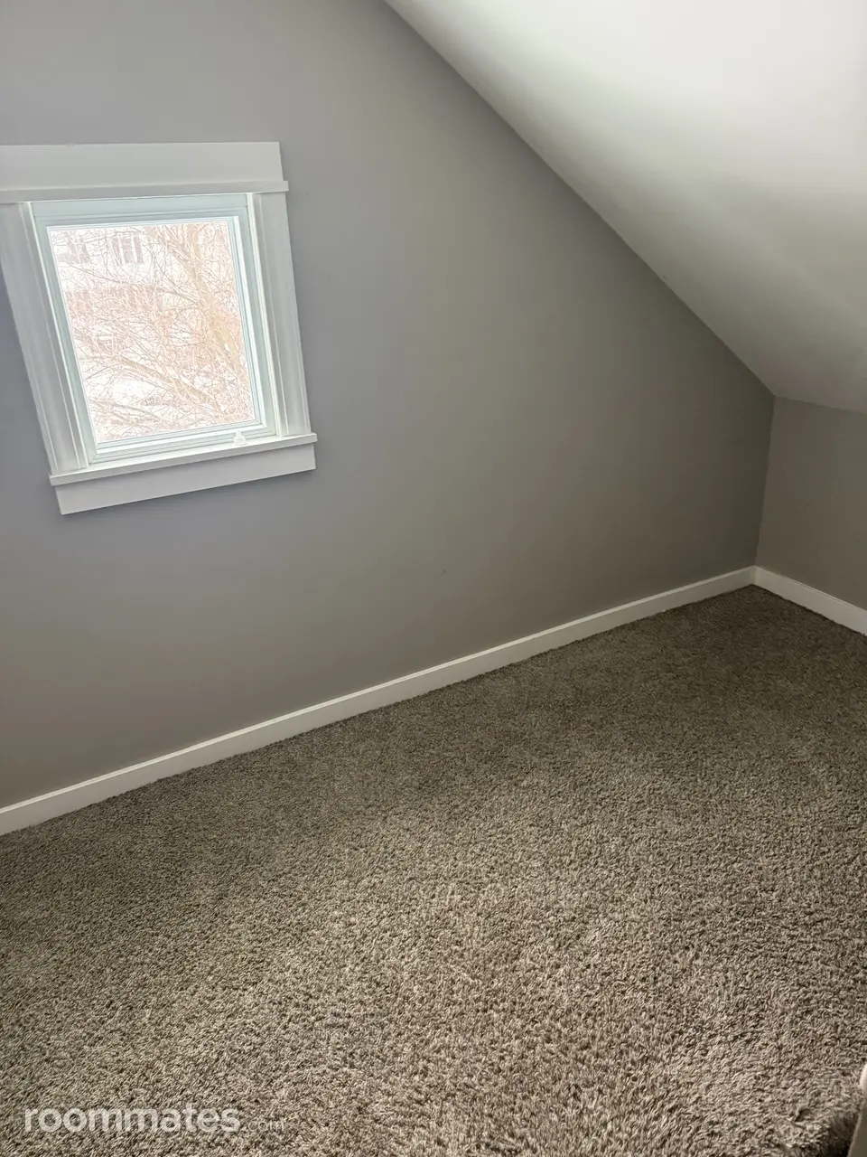 Profile photo 8 of 14