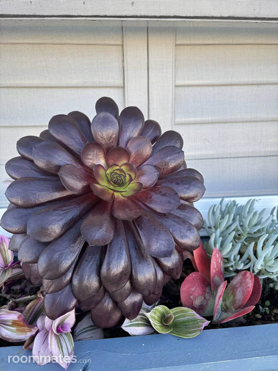 Profile photo 5 of 5