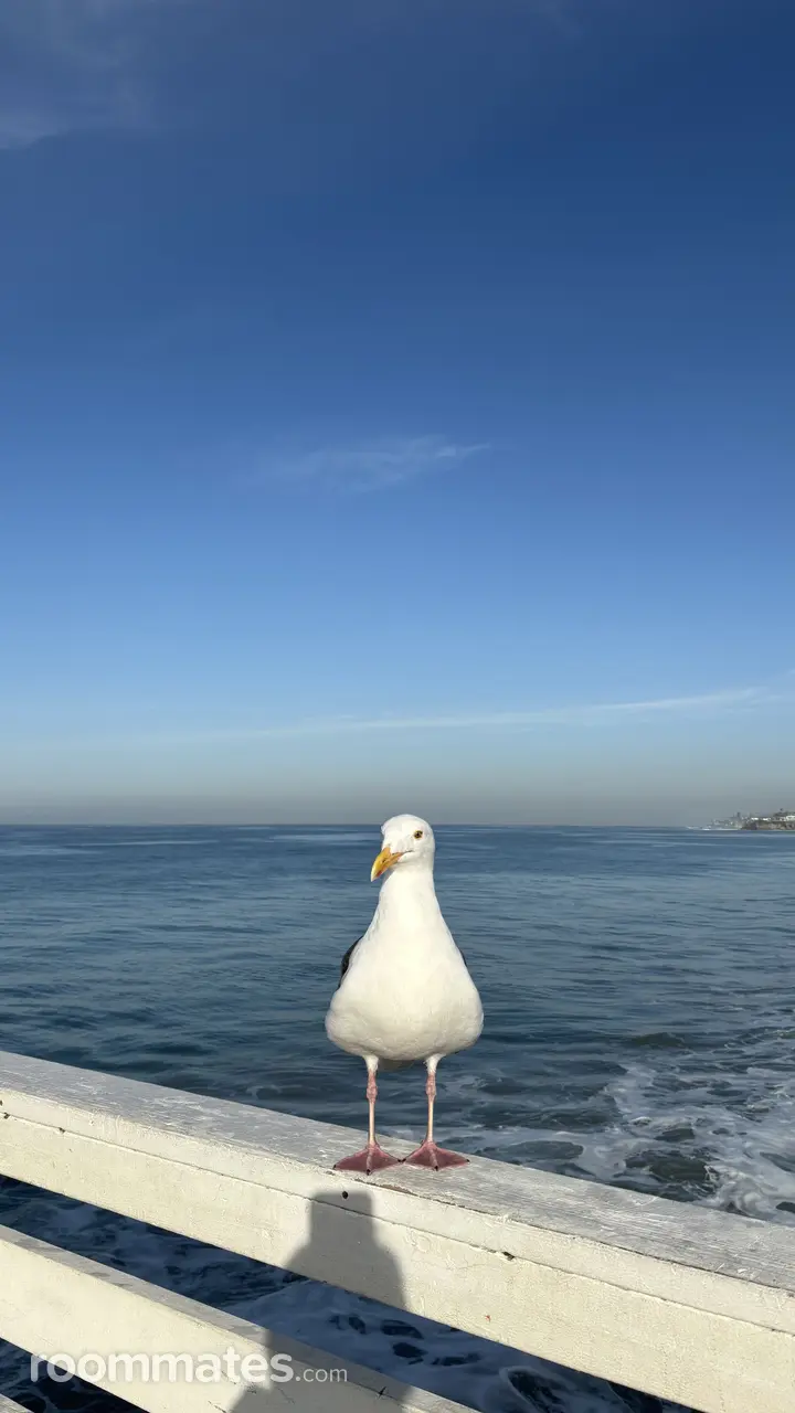 Profile photo 3 of 5