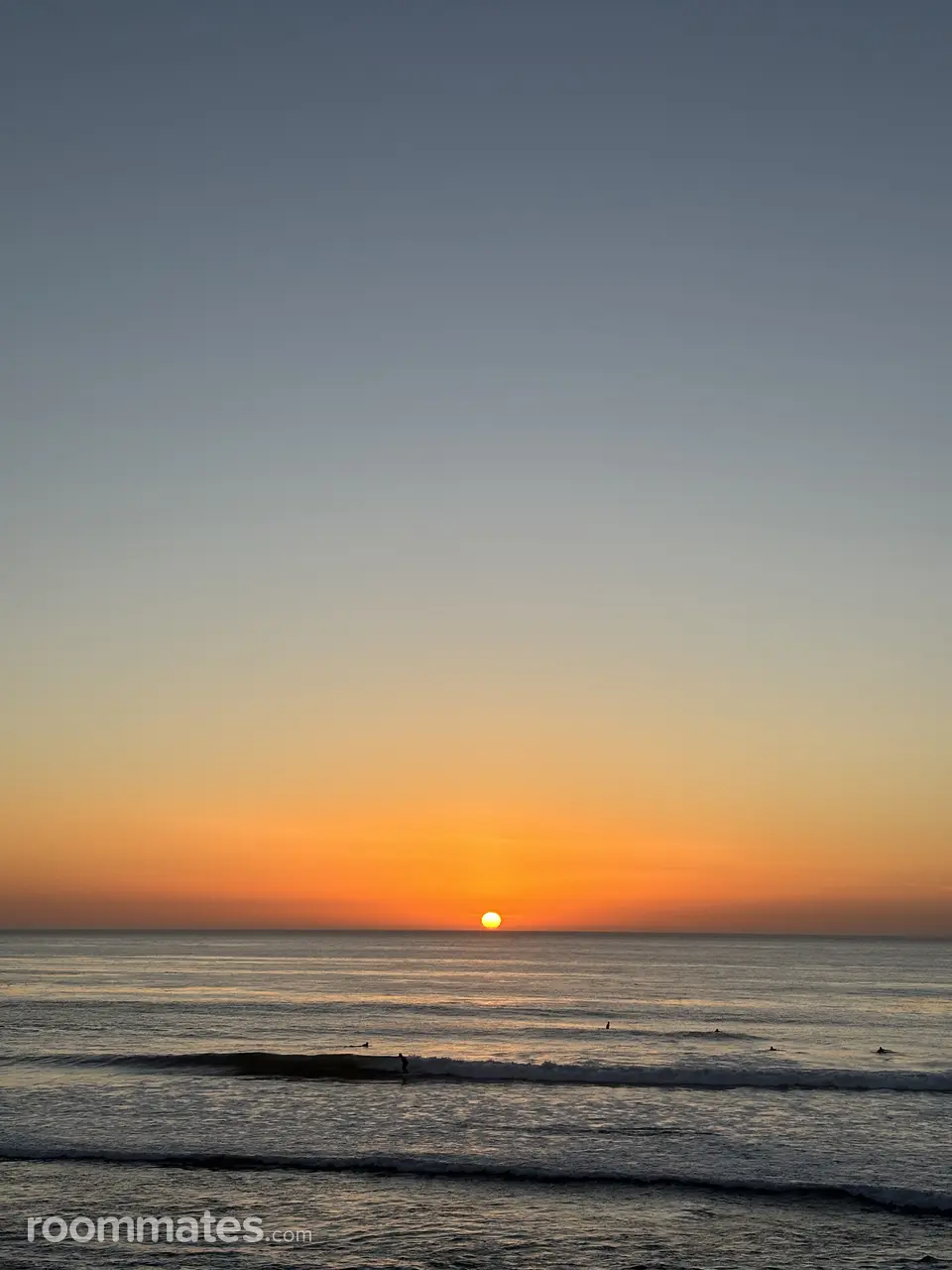 Profile photo 2 of 5