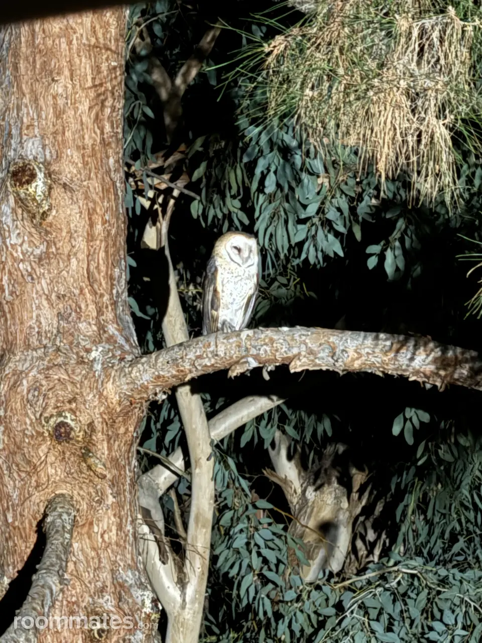 Profile photo 10 of 14