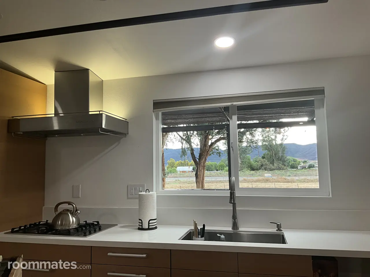 Profile photo 12 of 14