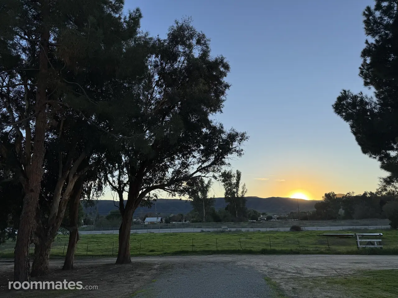 Profile photo 14 of 14