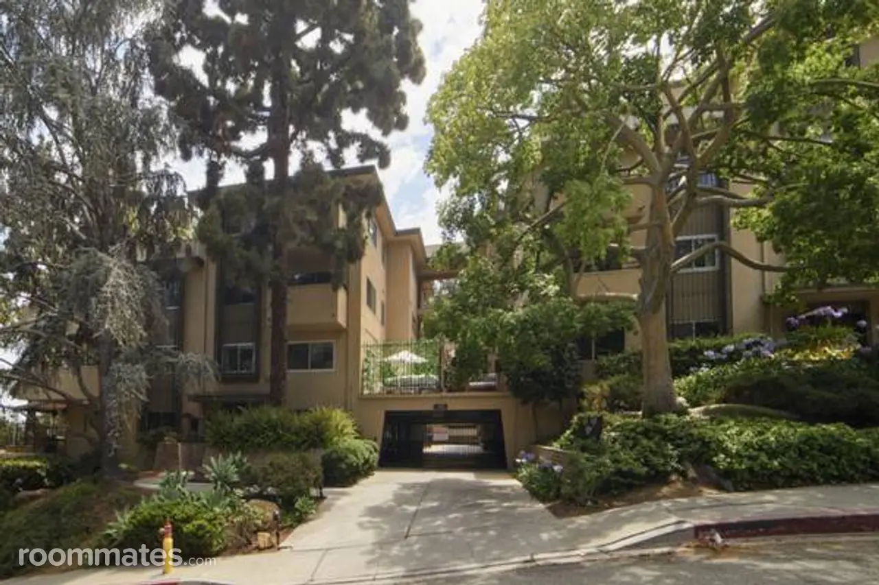 Profile photo 9 of 10