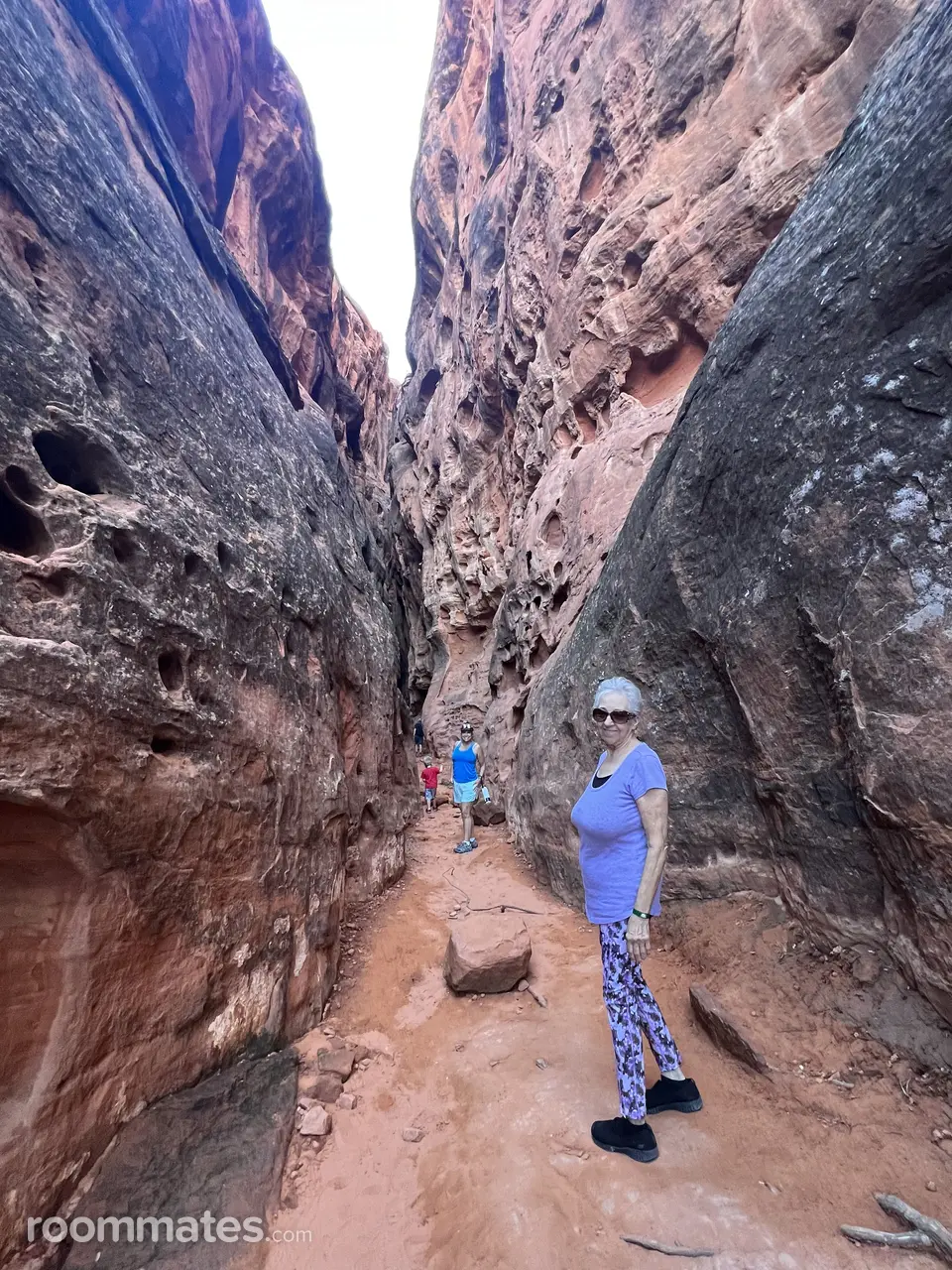 Profile photo 16 of 17