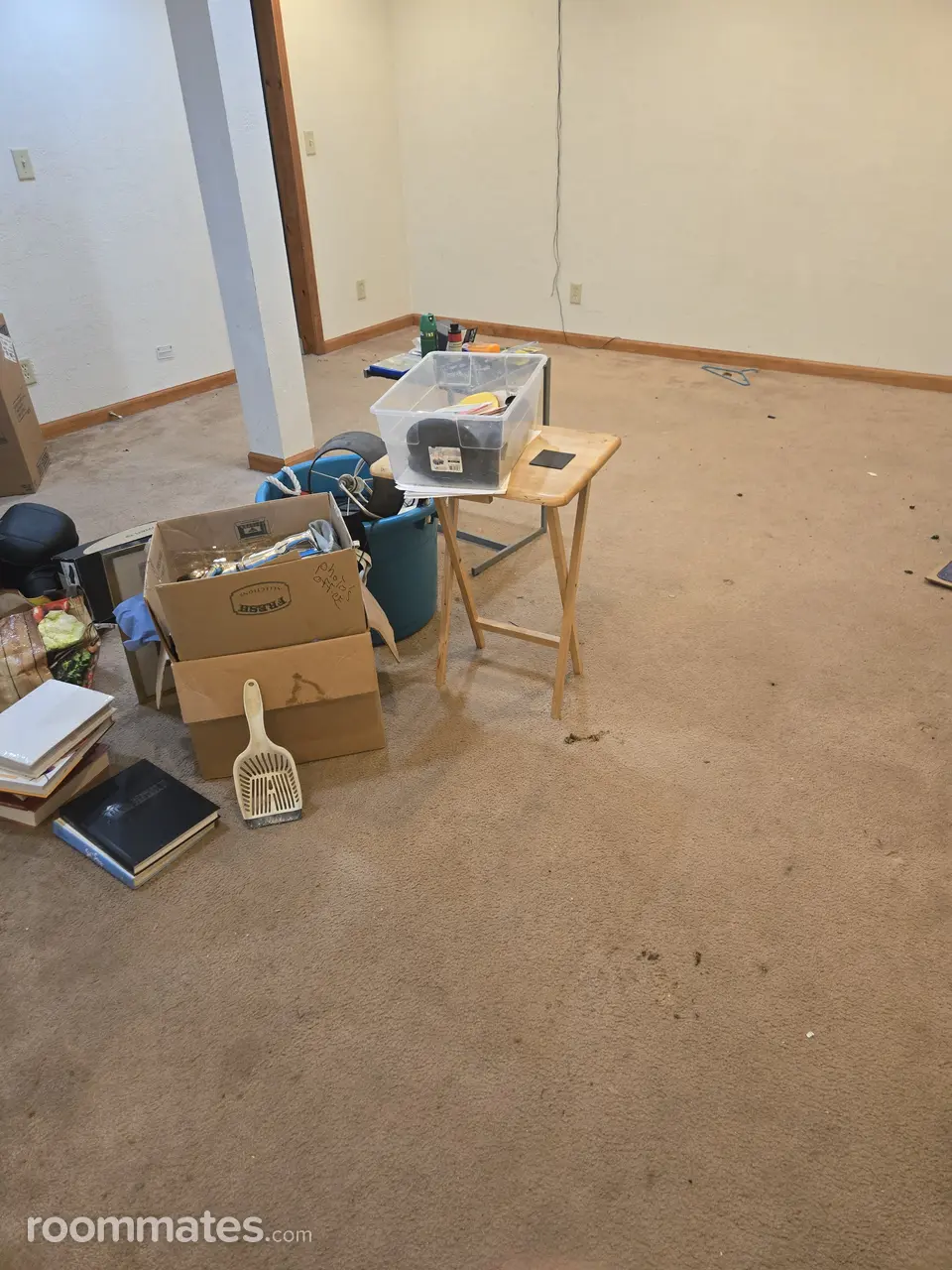 Profile photo 2 of 6