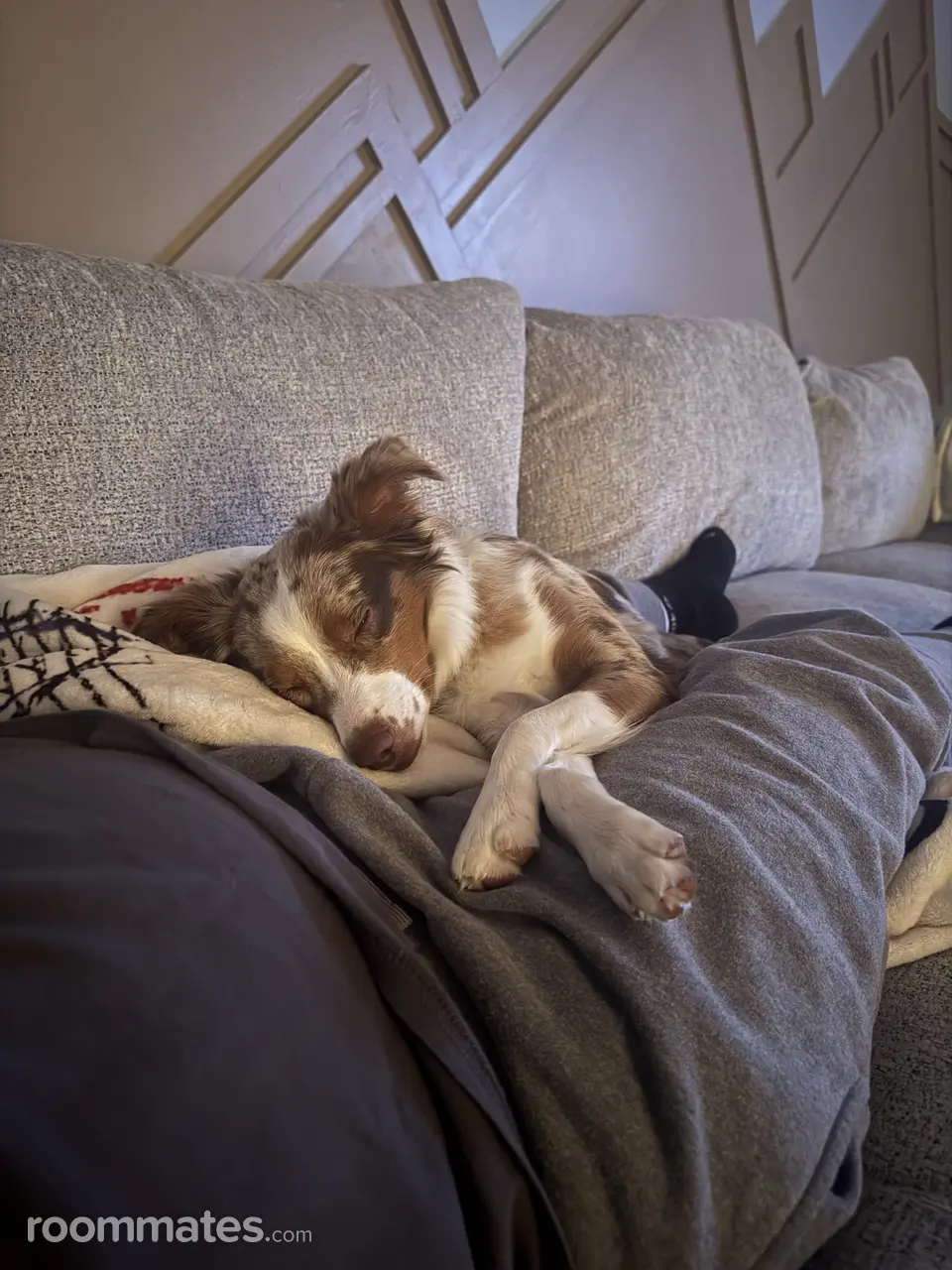 Profile photo 3 of 11