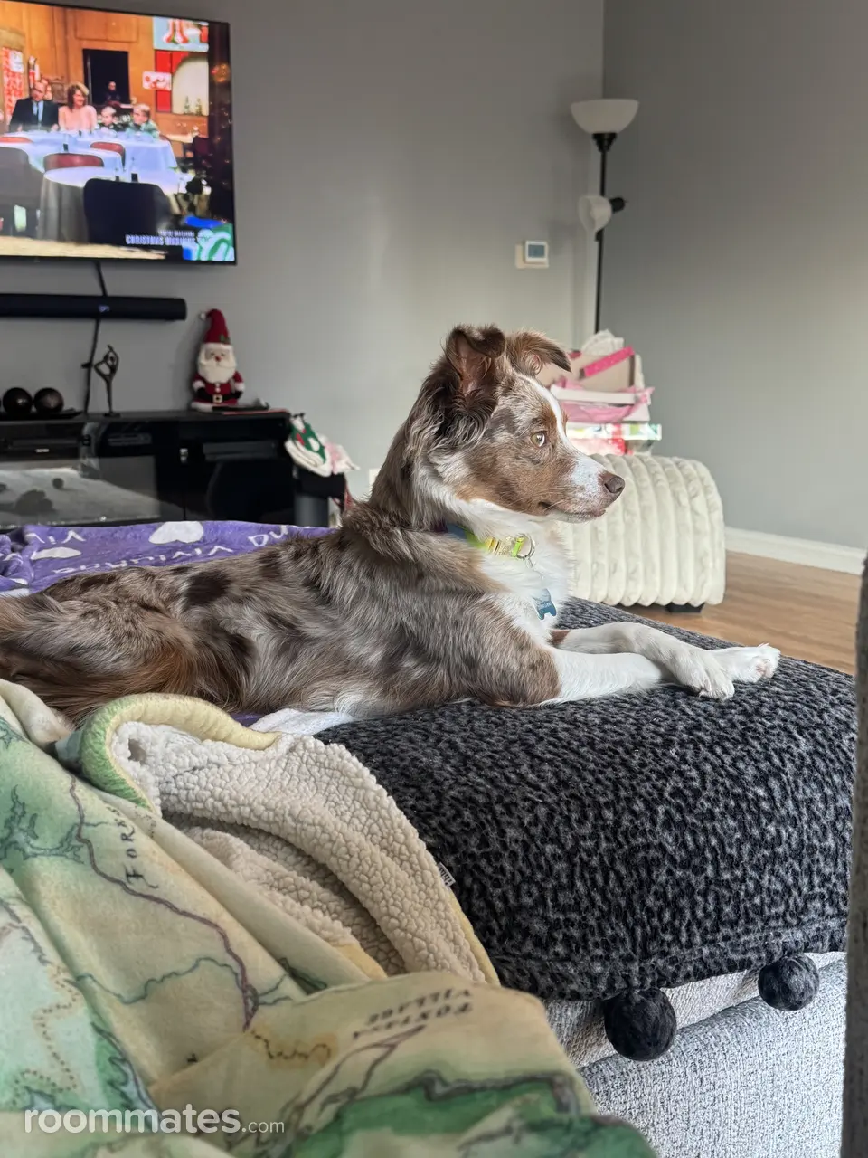 Profile photo 7 of 11