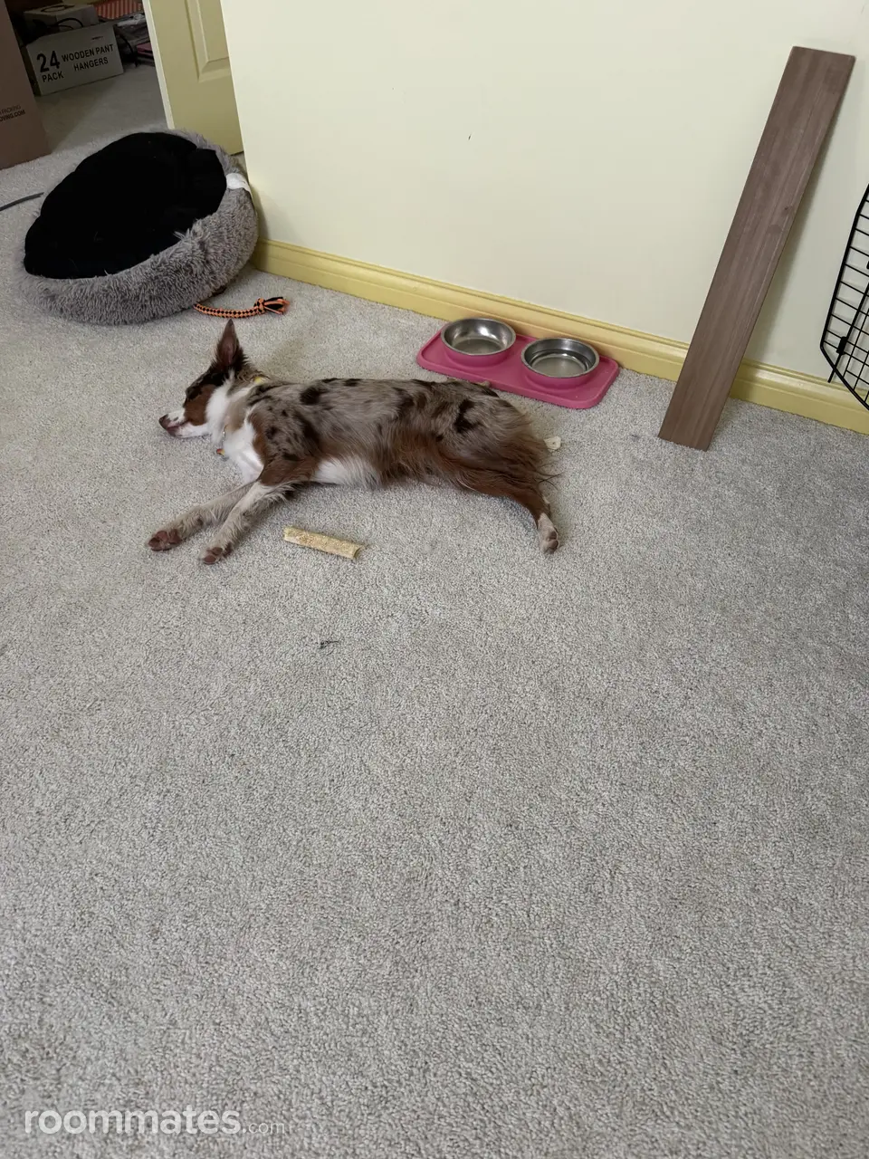 Profile photo 9 of 11