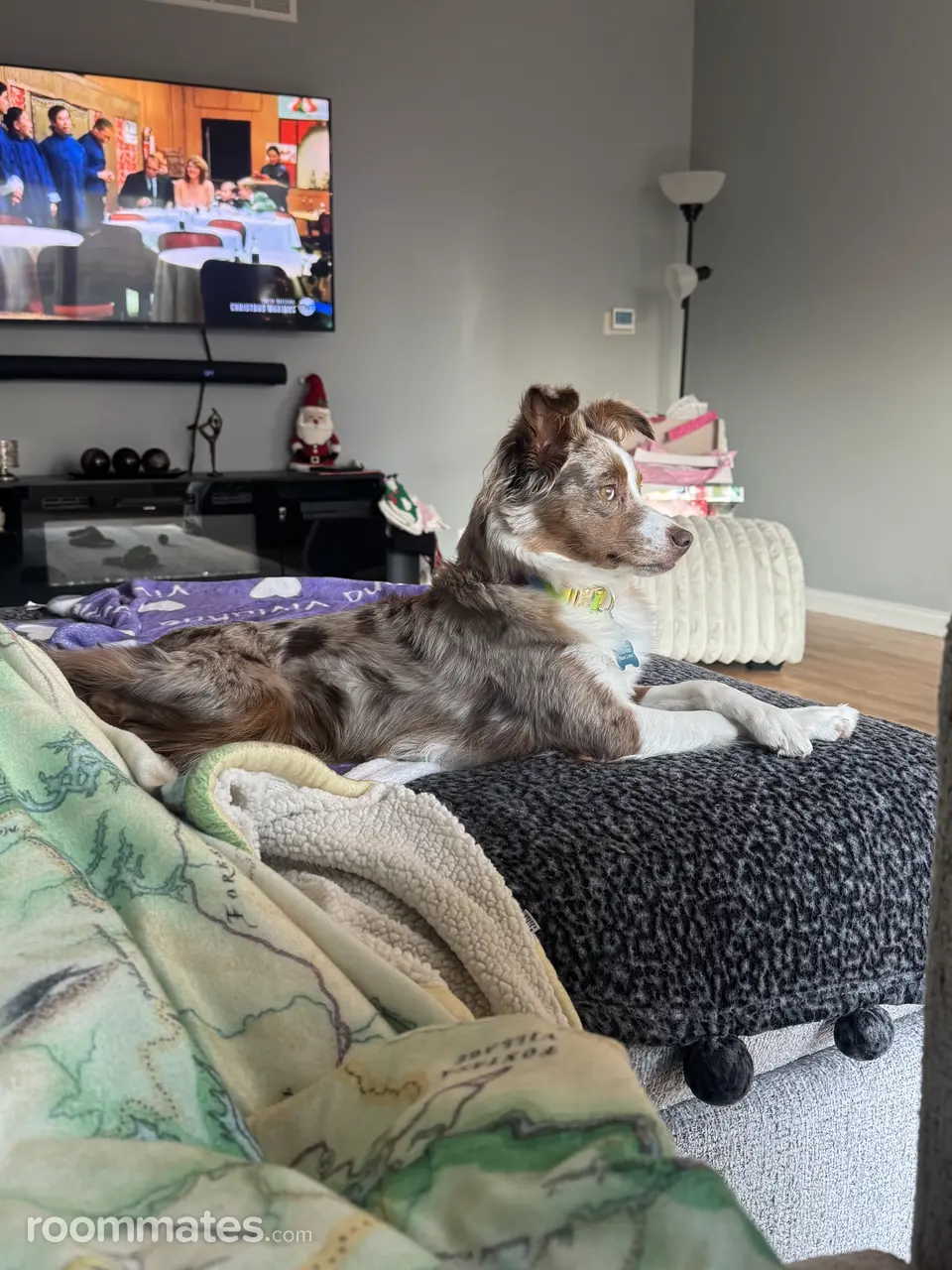 Profile photo 6 of 11