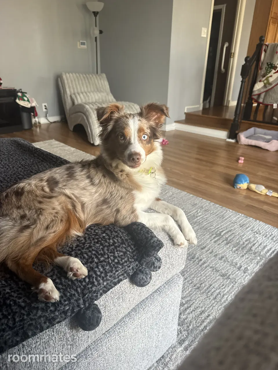 Profile photo 10 of 11