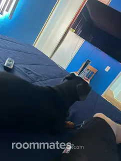 Room for rent in Colton, CA $200, apartment