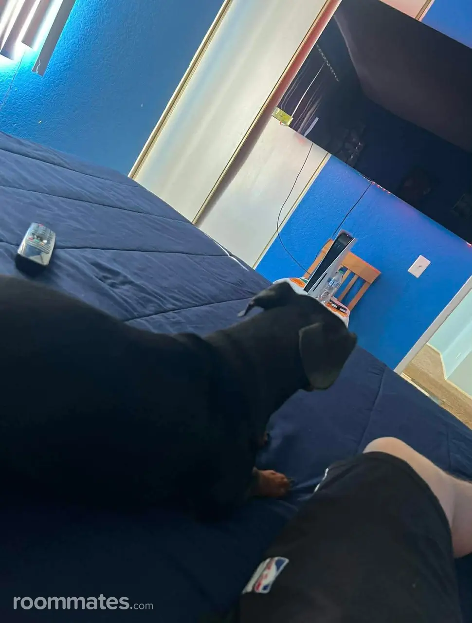 Profile photo 1 of 6