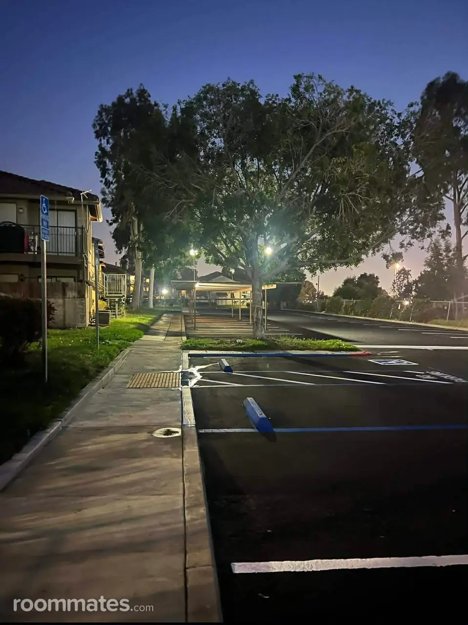 Profile photo 3 of 6