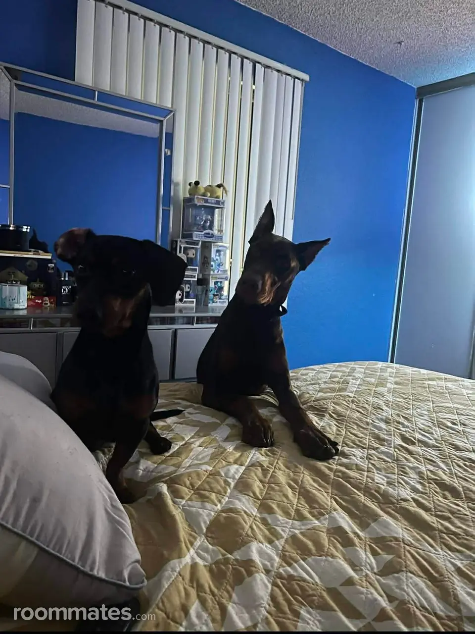 Profile photo 4 of 6