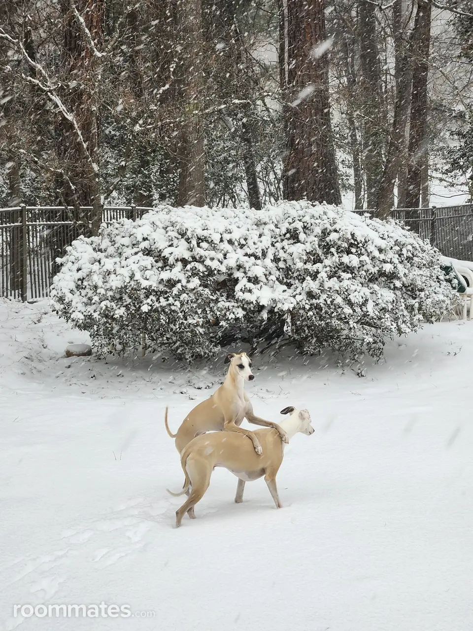 Profile photo 3 of 7