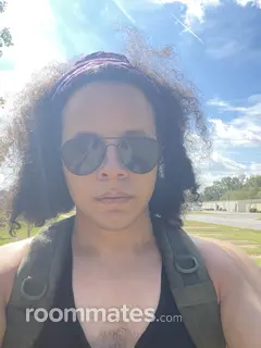 Roommate looking Greenville, NC, $500