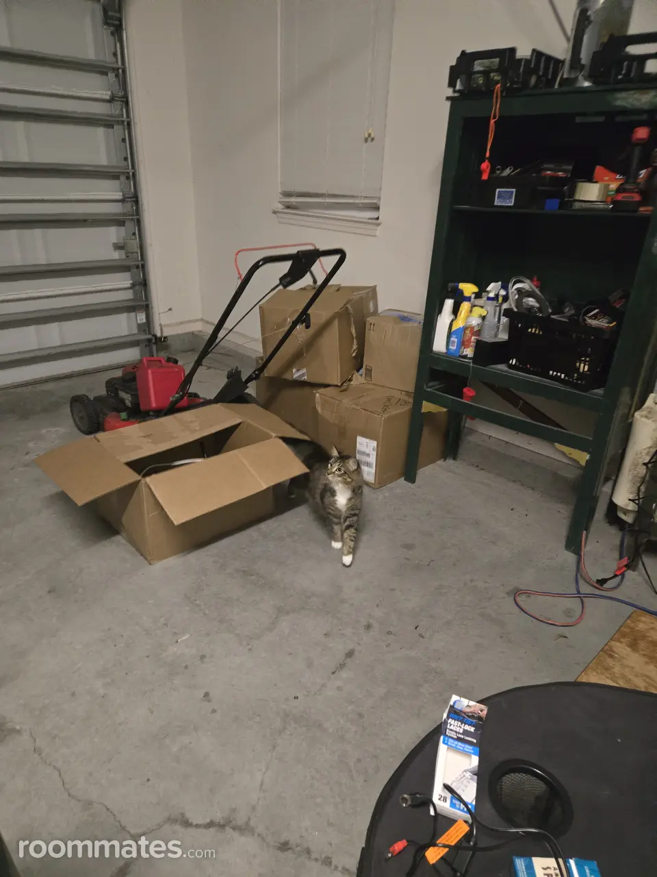 Profile photo 2 of 4