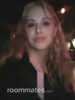 Roommate looking Asheville NC, $900