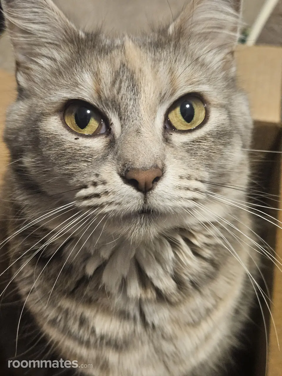 Profile photo 2 of 2