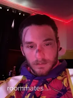 Roommate looking Nashville, TN, $800