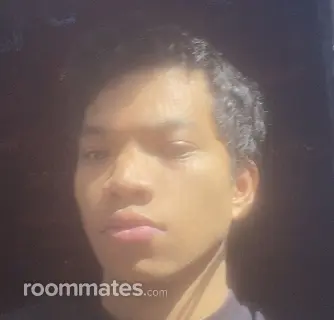 Roommate looking Honolulu, HI, $500