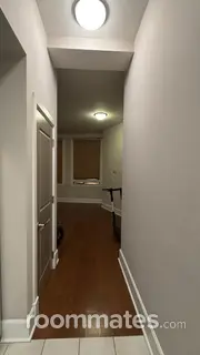 Room for rent in New Orleans, LA $340, apartment