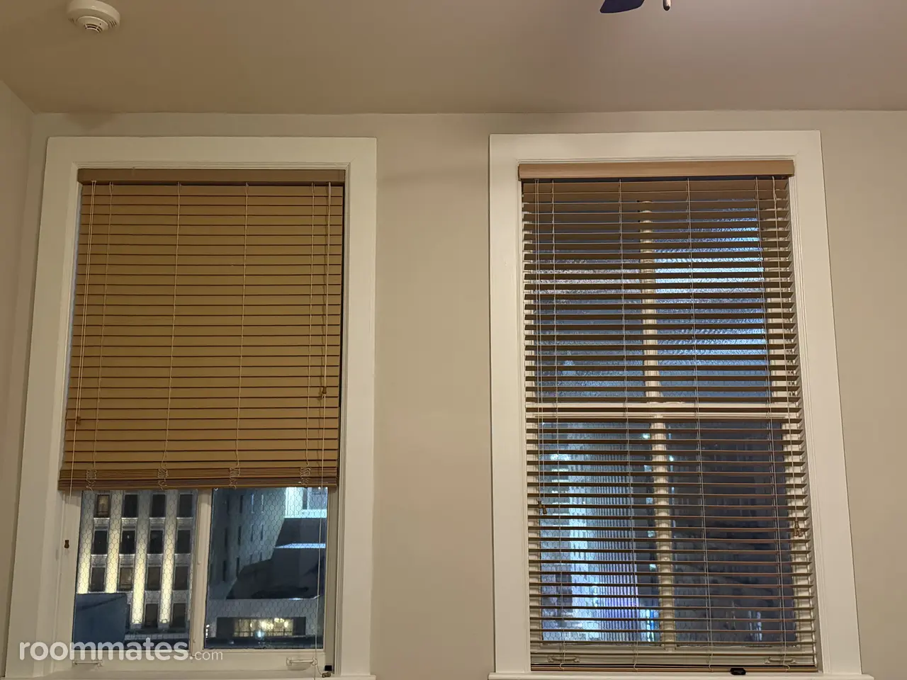 Profile photo 2 of 13