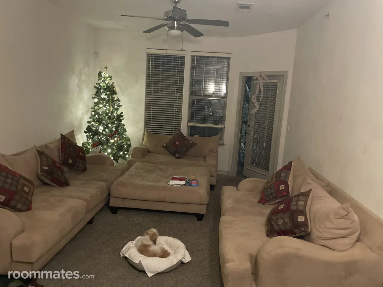 Profile photo 1 of 3