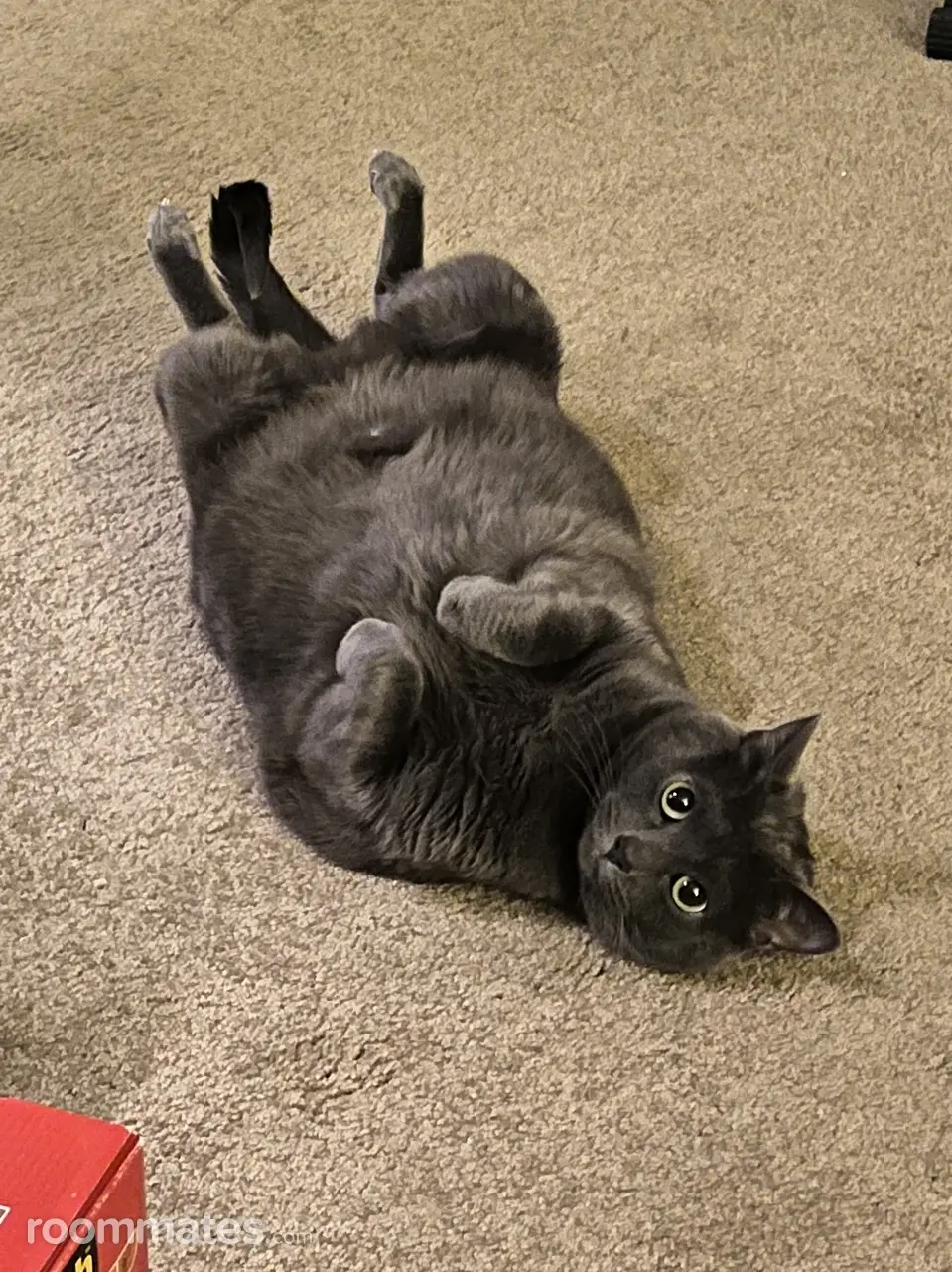 Profile photo 6 of 9