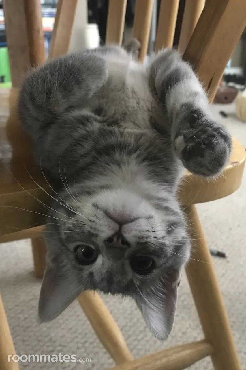 Profile photo 8 of 9