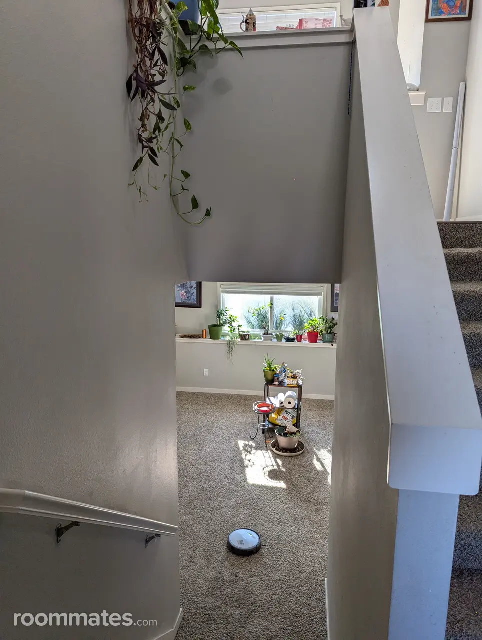 Profile photo 3 of 11