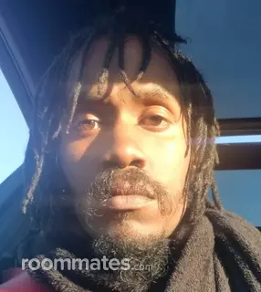 Roommate looking Colorado Springs, CO, $800