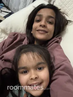 Roommate looking Bristol, CT, $800