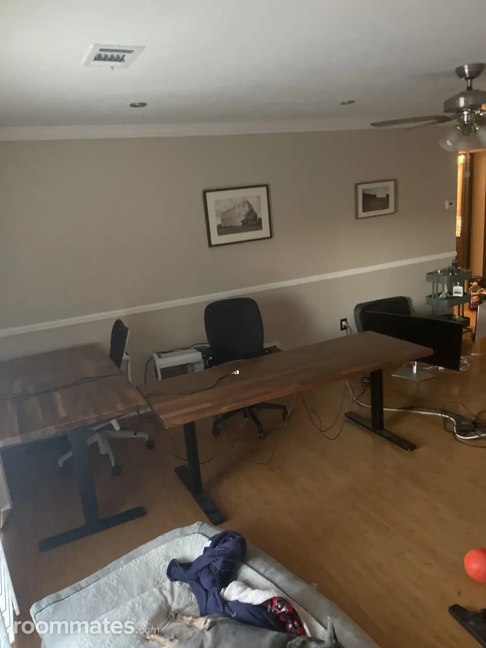 Profile photo 4 of 10