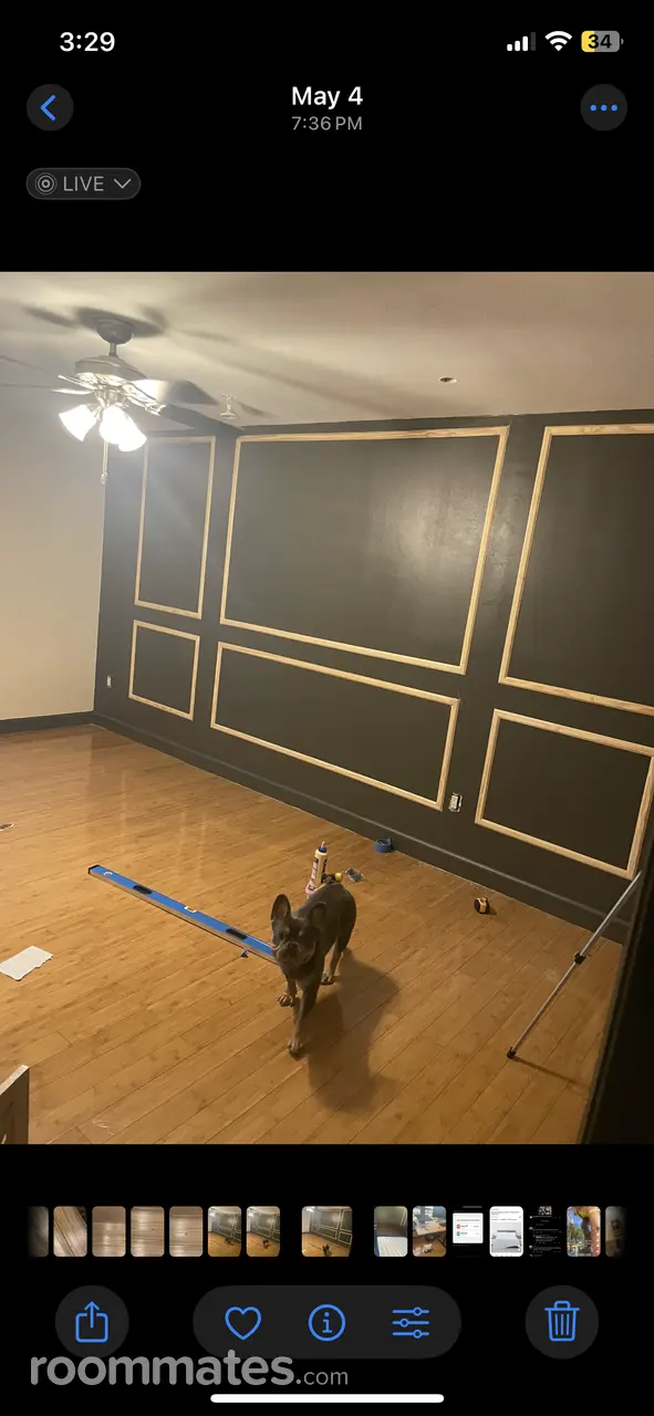 Profile photo 9 of 10