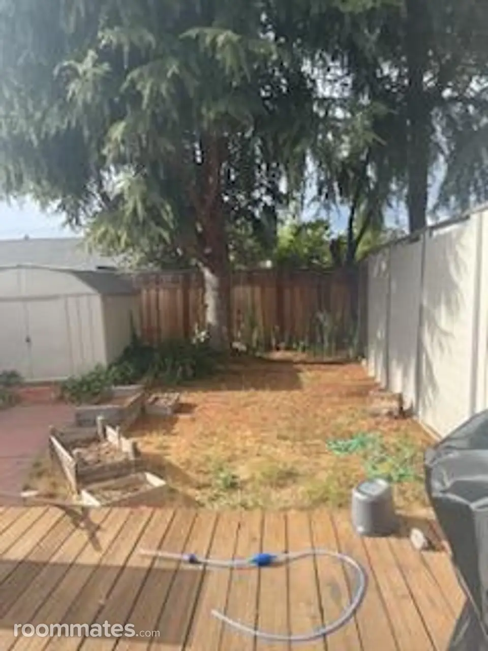 Profile photo 8 of 9