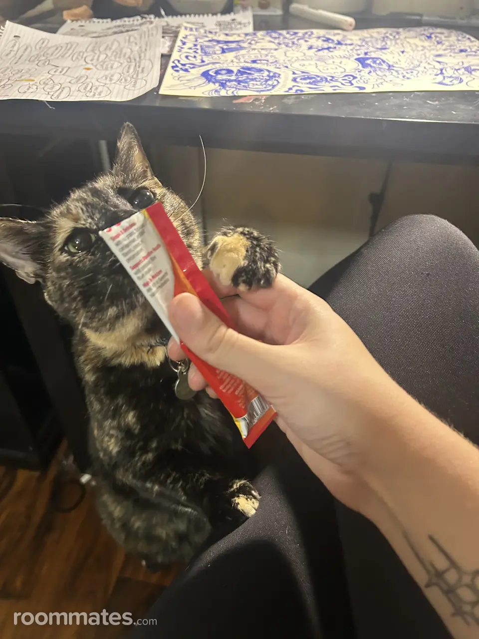 Profile photo 2 of 3