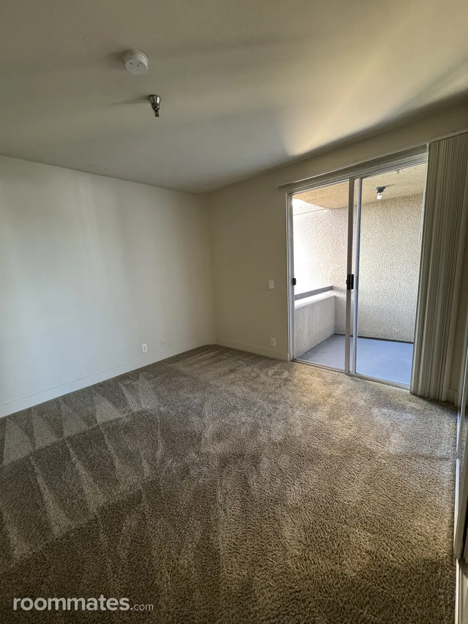 Profile photo 6 of 11