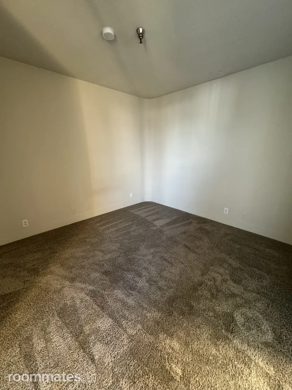 Profile photo 8 of 11