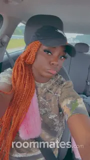 Roommate looking Chicago, IL, $500