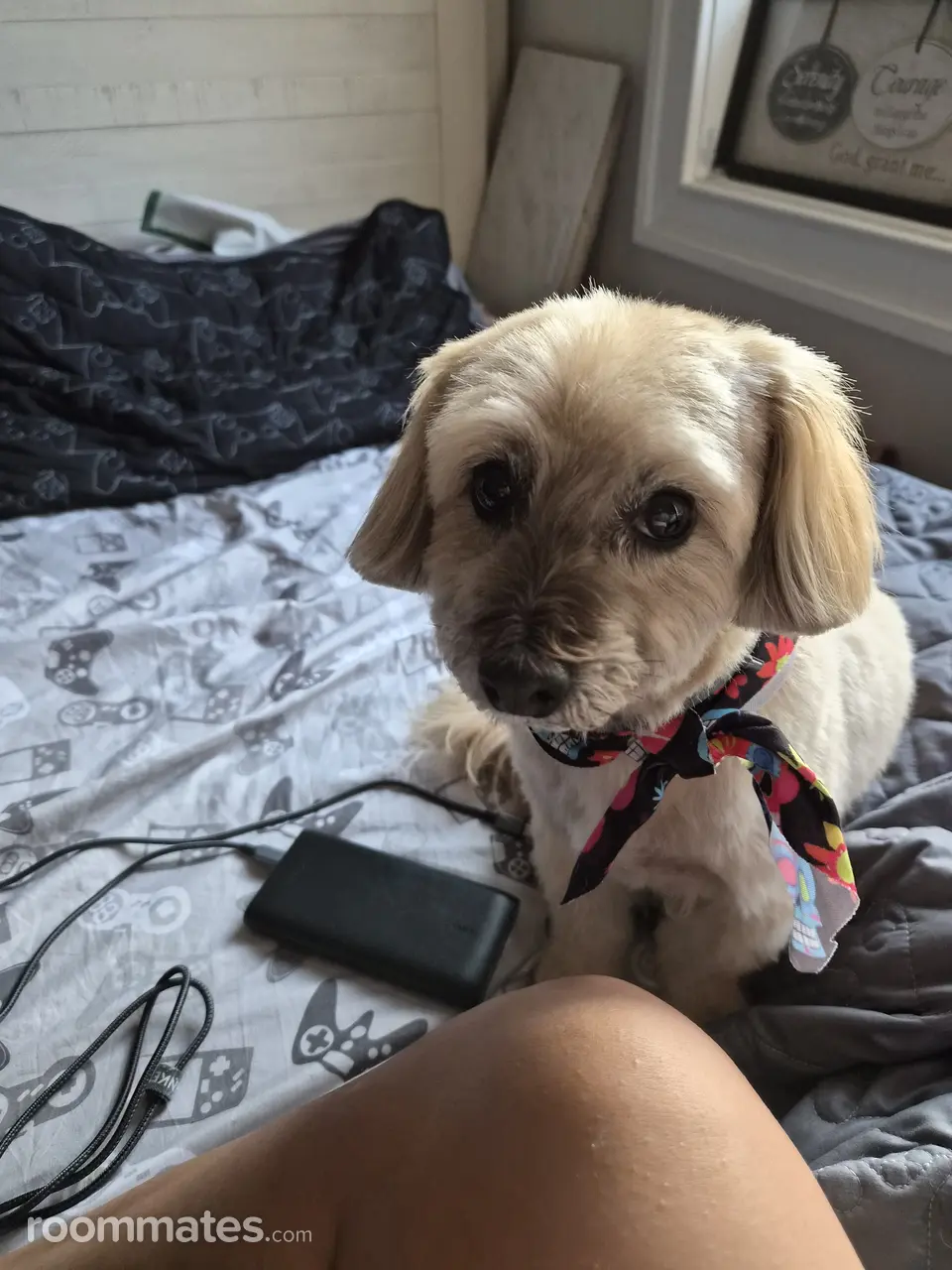 Profile photo 9 of 9