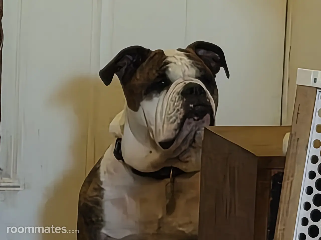 Profile photo 3 of 9