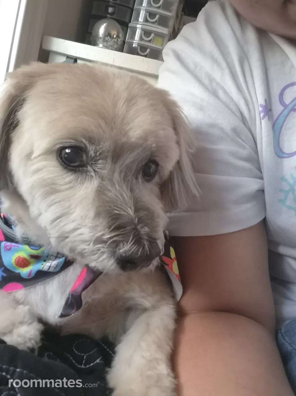 Profile photo 4 of 9