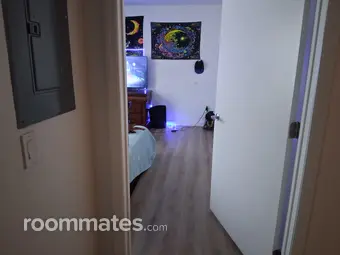 Room for rent in New Port Richey, FL $500, house