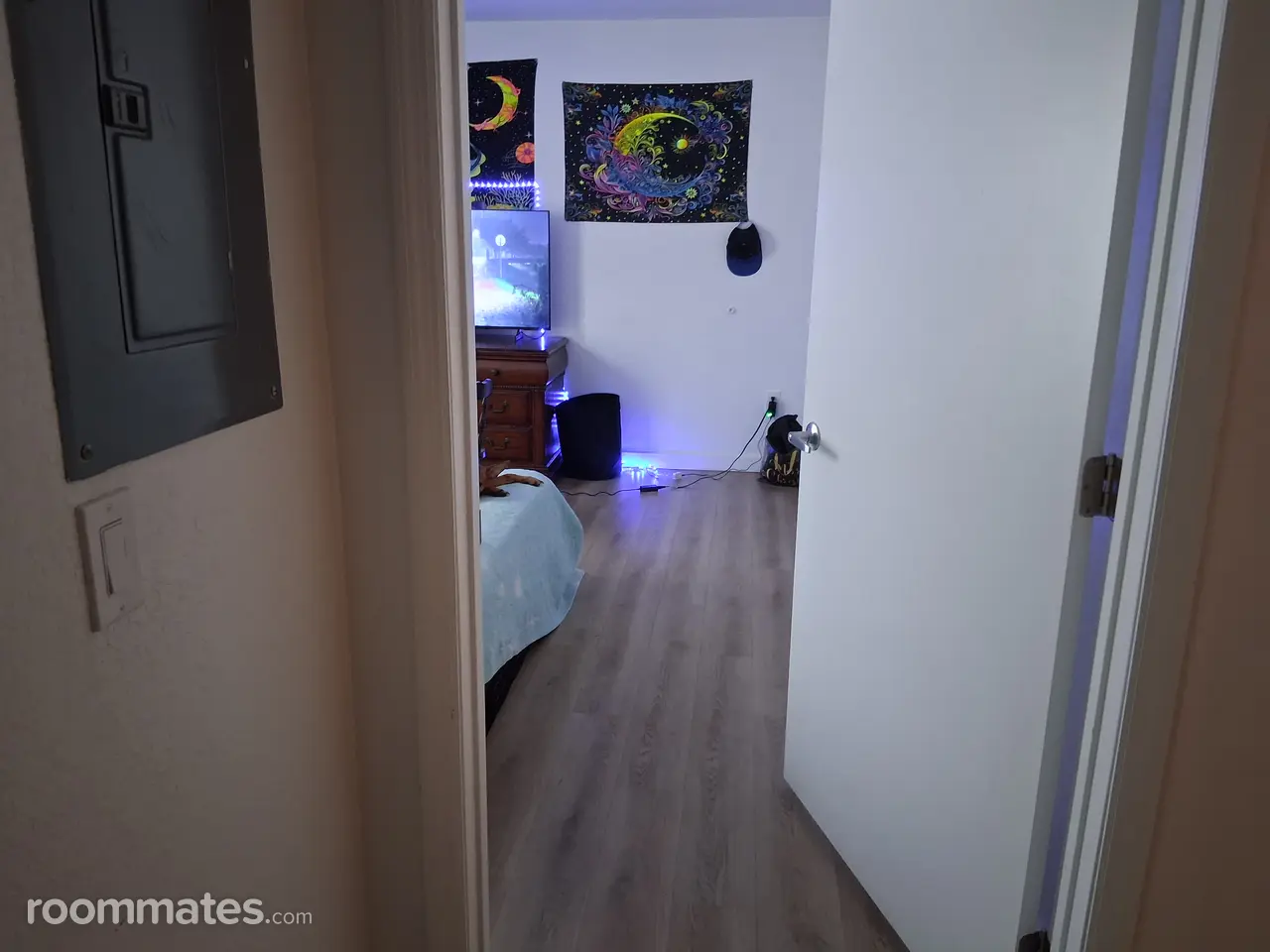 Profile photo 1 of 2