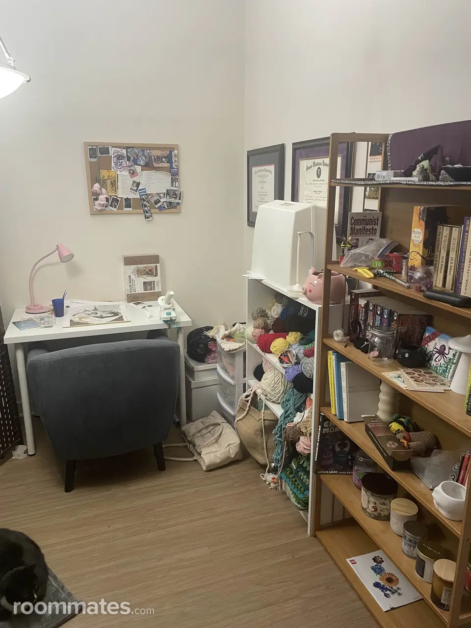 Profile photo 6 of 13