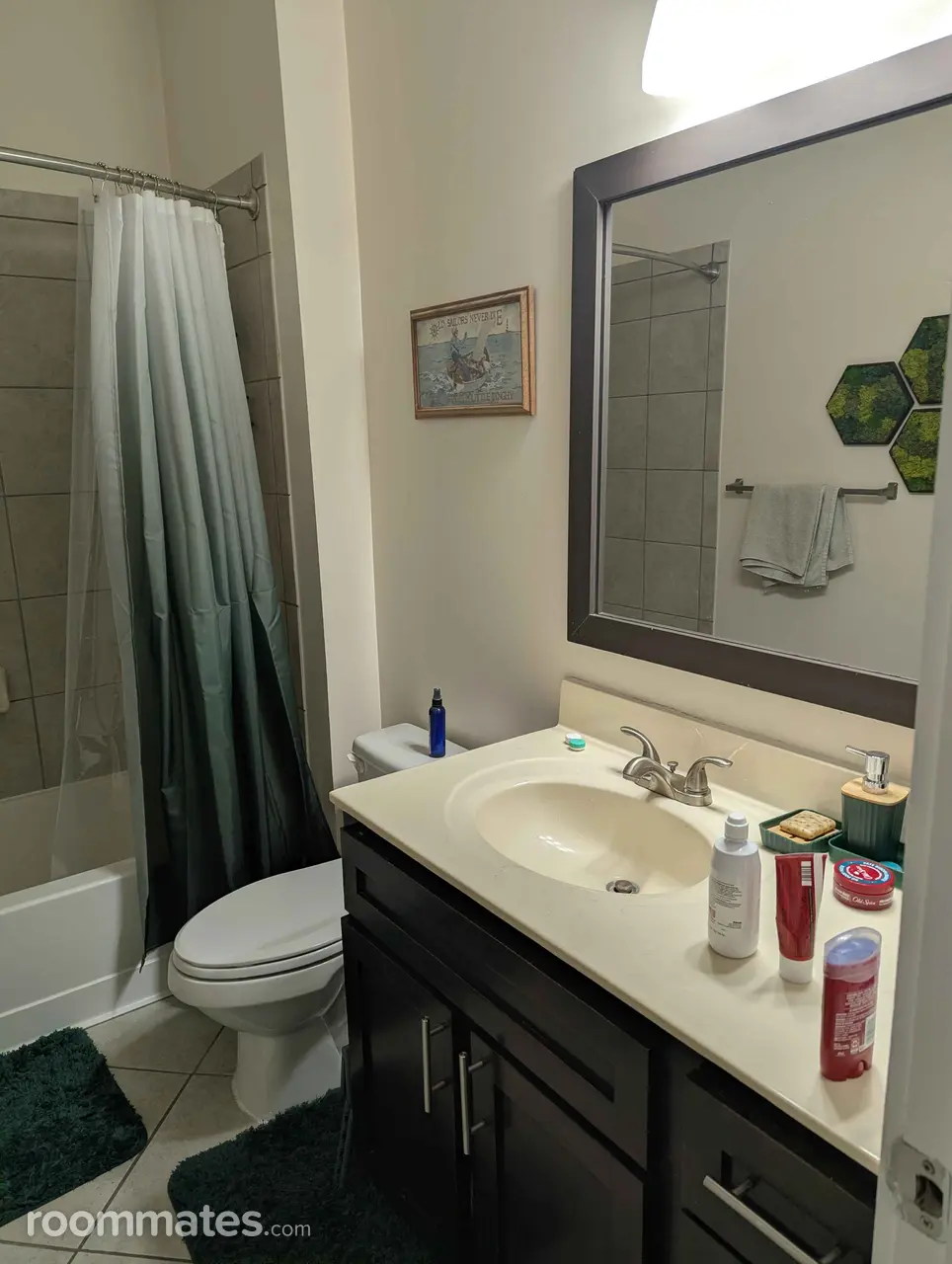 Profile photo 10 of 13